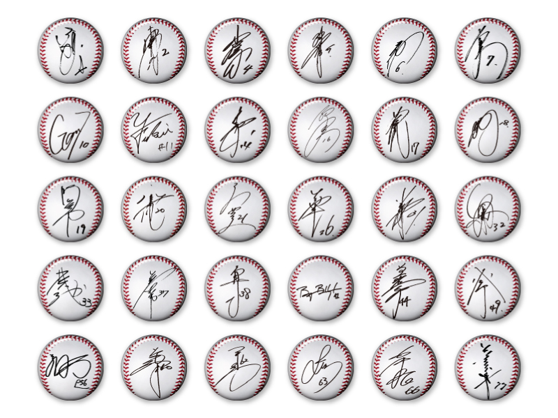 2013サインボールシリーズ（全30種）