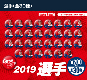 2019選手シリーズ（全12種）